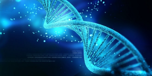 चालु आर्थीक वर्षमा १५० मानवीय डिएनए र झण्डै १०० जनावरको डिएनए परीक्षण