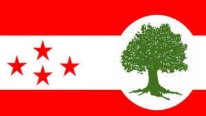 जेनजीको प्रदर्शनबारे धारणा बनाउन कांग्रेस शीर्ष नेताको बैठक जारी