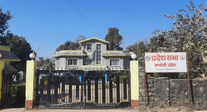 लोकसेवाका नक्कली १२ परीक्षार्थी नियन्त्रणमा