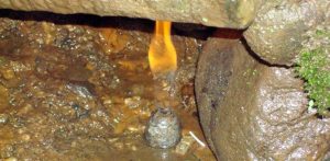 पेट्रोलियम पदार्थ उत्खनन गर्न दुई वर्ष समय थप