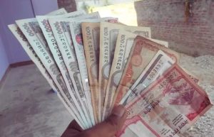 बाँझो जग्गाबाट १५ लाखको किवी उत्पादन