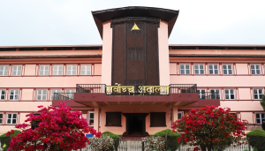 संसद् पुन:स्थापनाका लागि कांग्रेसले पेस गरेको रिट दर्ता, पुस २ मा पेसी