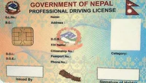 सुरक्षण मुद्रण केन्द्रमा दुई महिनामा नौ हजार लाइसेन्स छपाइ