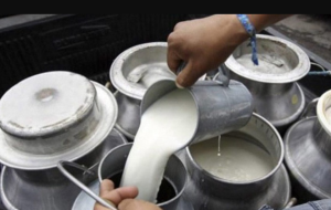 किसानलाई दूधमा दश रुपैयाँ अनुदान