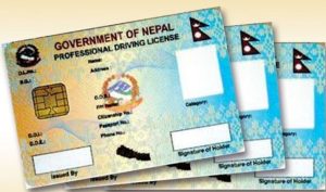 अझै अन्योलमा परीक्षणकालीन चालक अनुमतिपत्र