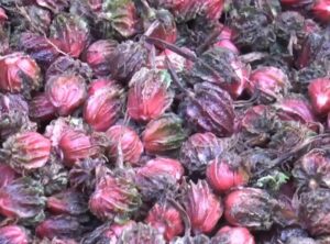 अलैँचीको मूल्यमा निरन्तर गिरावट