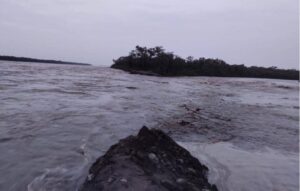 पुरानै धारमा सोझियो कोसी : प्रभावितको उद्धार कार्य जारी