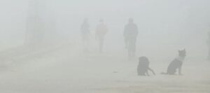 मौसम : पहाडमा हिउँ, मधेशमा हुस्सुको प्रकोप