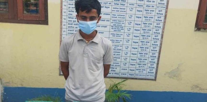 बजारमै बिक्छ प्रतिबन्धित औषधि!