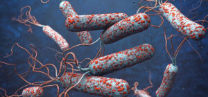 पर्सामा झाडापखालाको लक्षण देखापरेका दुई जना बिरामीको मृत्यु