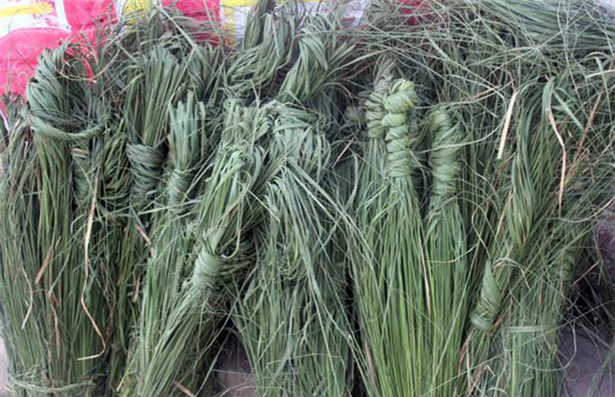 आज कुशेऔँशी, घरघरमा राखिदैछ कुश