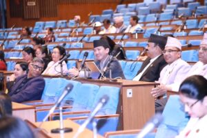 संसद्मा सुहाङले सोधे, `इम्बोस्ड नम्बरको औचित्य के हो?´