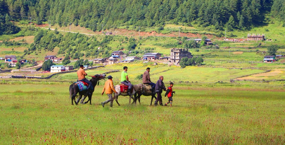 ढोरपाटनमा पर्यटक बढेपछि घोडा व्यवसाय फस्टाउँदै