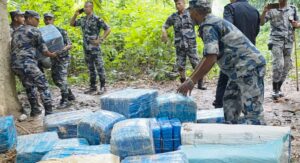 धनुषाबाट ठूलो परिमाणमा लागुऔषध गाँजा बरामद