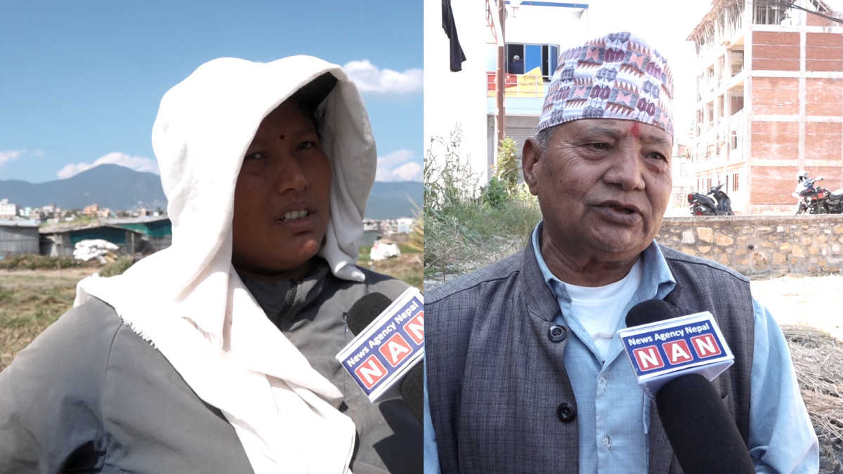 भक्तपुरमा धानवाली भित्र्याउने चटारो