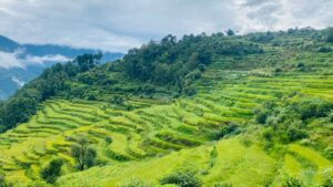 बागलुङमा १५ हजार हेक्टर जमिन बाँझो