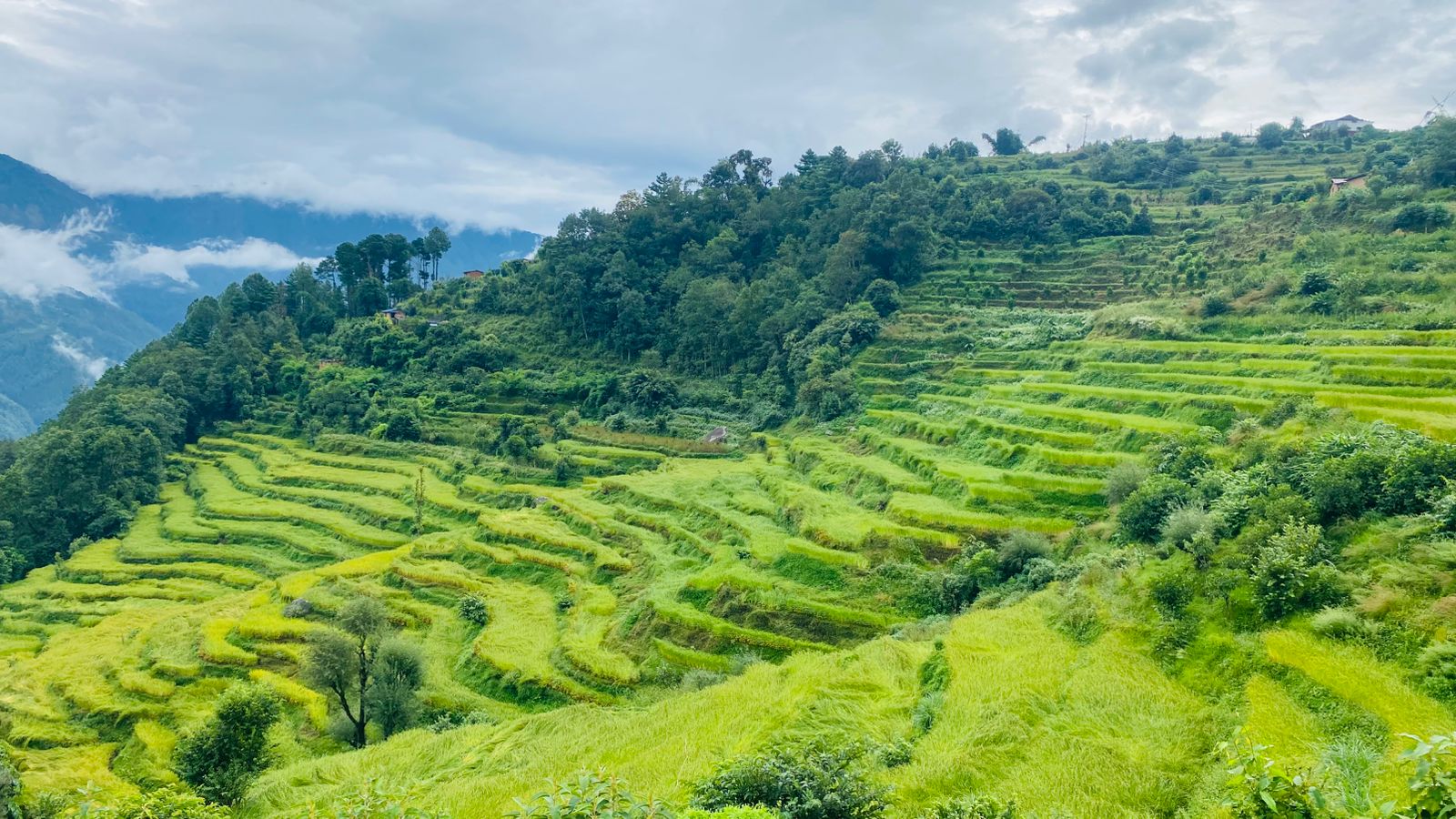 बागलुङमा १५ हजार हेक्टर जमिन बाँझो