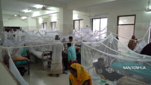 बंगलादेशमा २०२५ मा डेंगु ज्वरोबाट मृत्यु हुनेको संख्या २१५ पुग्यो