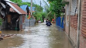 झापामा ४५० घर डुबानमा, उद्धार जारी