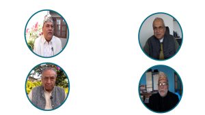 नयाँ दल दर्ताबारे विश्लेषकहरू भन्छन् : ‘हात्ती छामेजस्तो राजनीति’