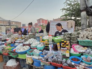 चिसो पहाडबाट झरेर तराईमा जडीबुटी व्यावसाय