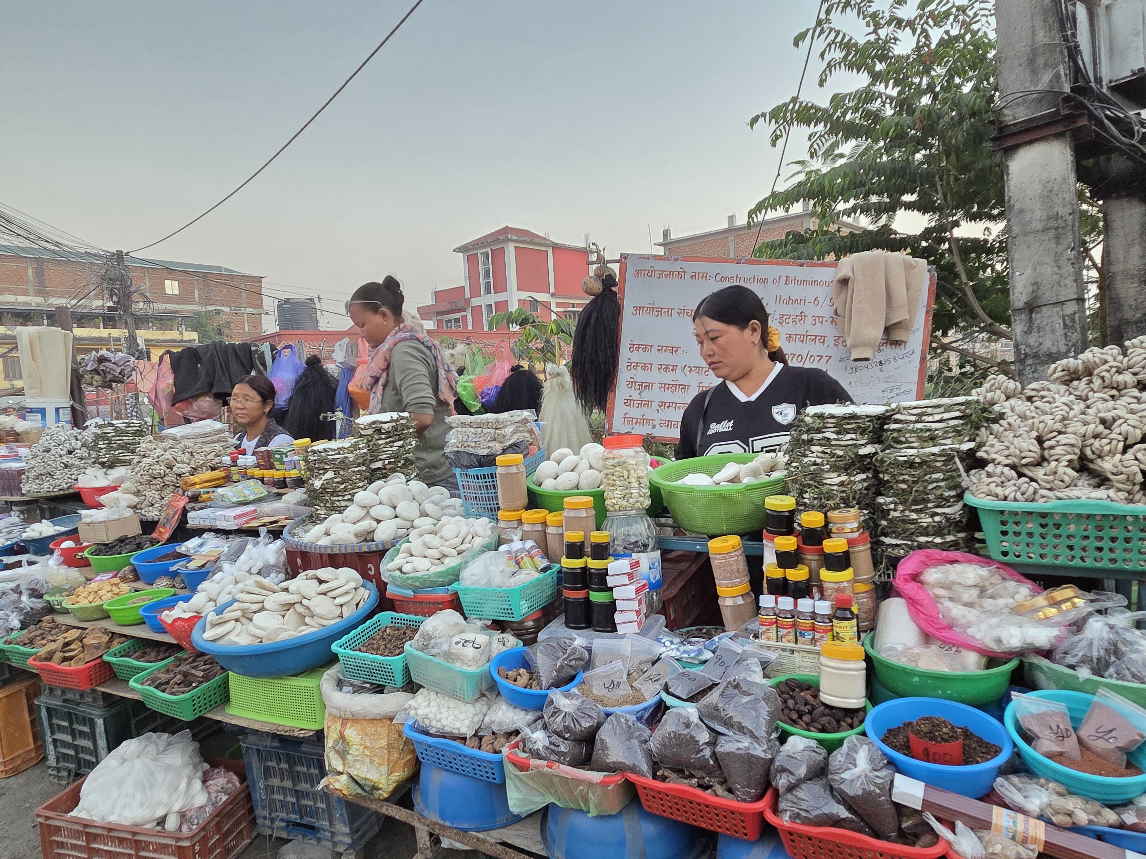 चिसो पहाडबाट झरेर तराईमा जडीबुटी व्यावसाय