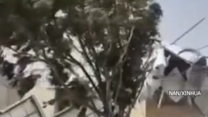 अर्जेन्टिनाको पाटागोनियन क्षेत्रमा १४० किलोमिटर प्रतिघण्टाको हावा