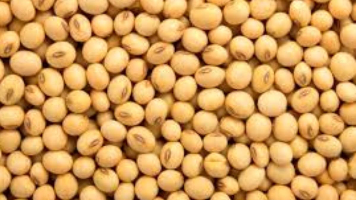 भटमासले बढायो नेपालको आयातनिर्यात