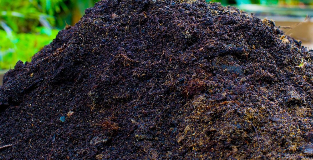 प्राङ्गारिक मलको प्रयोगले माटोको उर्वराशक्ति बढ्यो