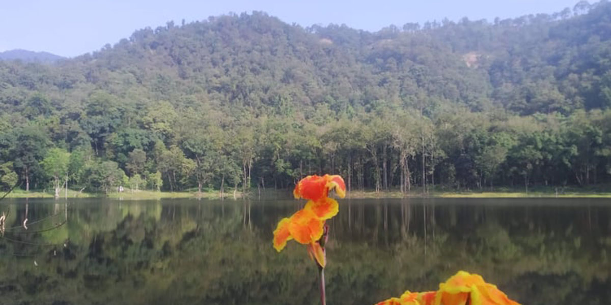 आहा !  आलिताल