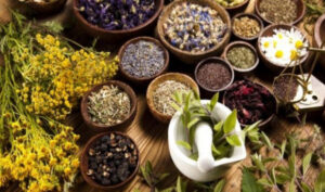 नेपालगञ्ज नाकाबाट जडीबुटी निर्यात बढ्यो