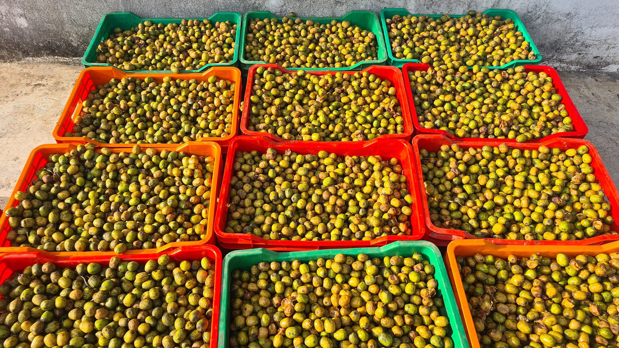 पर्वतमा व्यवसायीलाई लप्सीका परिकार बनाउन भ्याइनभ्याइ