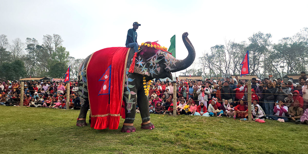 चितवनको पर्याय बन्दै ‘हात्ती तथा पर्यटन महोत्सव’