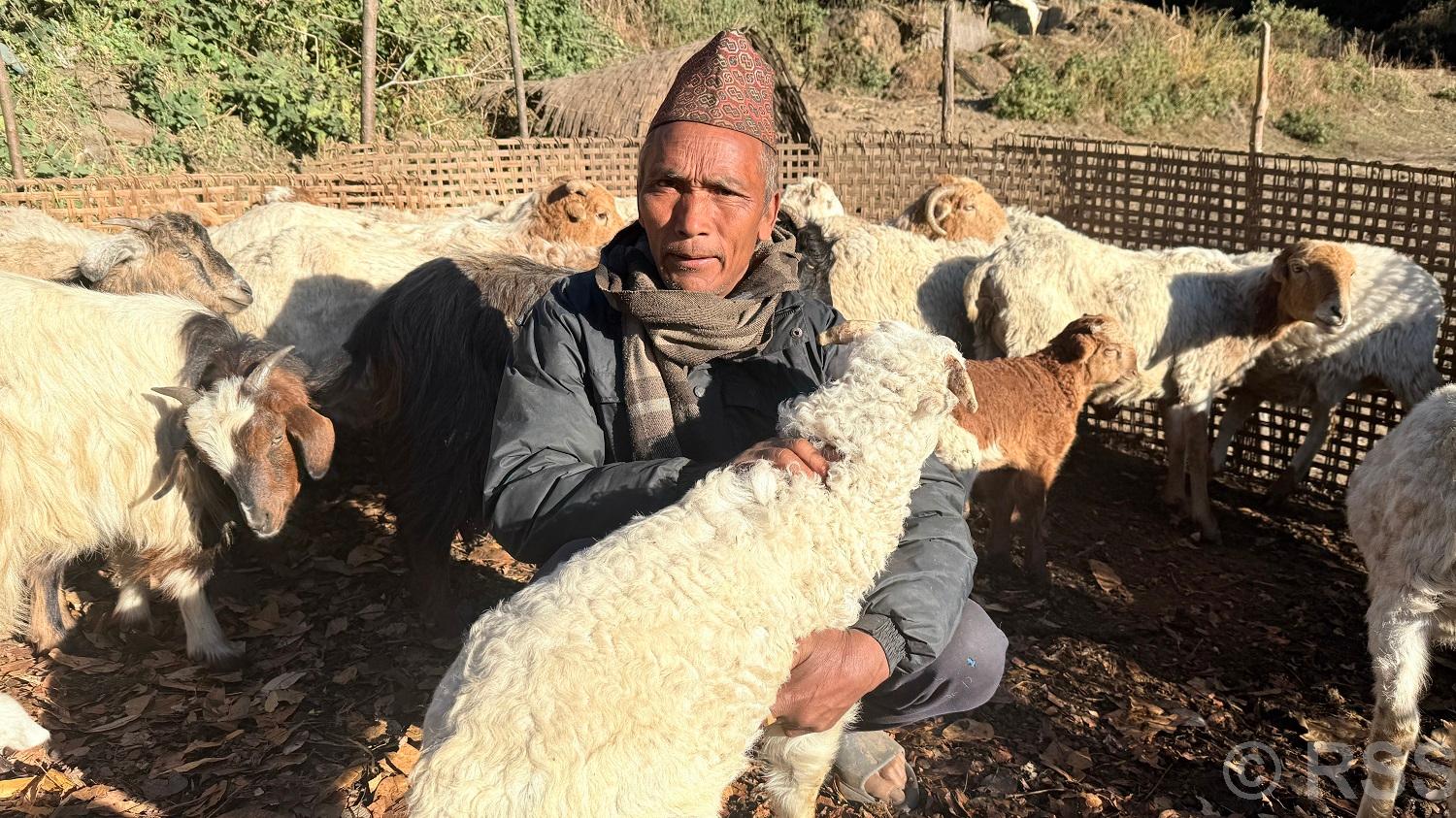 भेडागोठमा पाँच दशक बिताएका नरेन्द्रलाई पढ्न नपाएकामा पछुतो