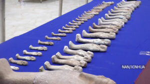 सुडानमा जारी द्वन्द्वका क्रममा लुटिएका ५७० पुरातात्विक सामग्रीहरू पुनः प्राप्त