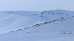 मङ्गोलियाको ९० प्रतिशत भूभाग हिउँले ढाकियो