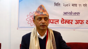 चोरी, पैठारी नियन्त्रणमा प्रभावकारी काम भइरहेको छः भन्सार विभाग