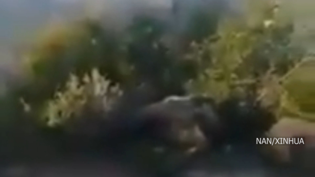 अफगानिस्तानको आक्रमणको जवाफ दियौँः पाकिस्तानी अधिकारी