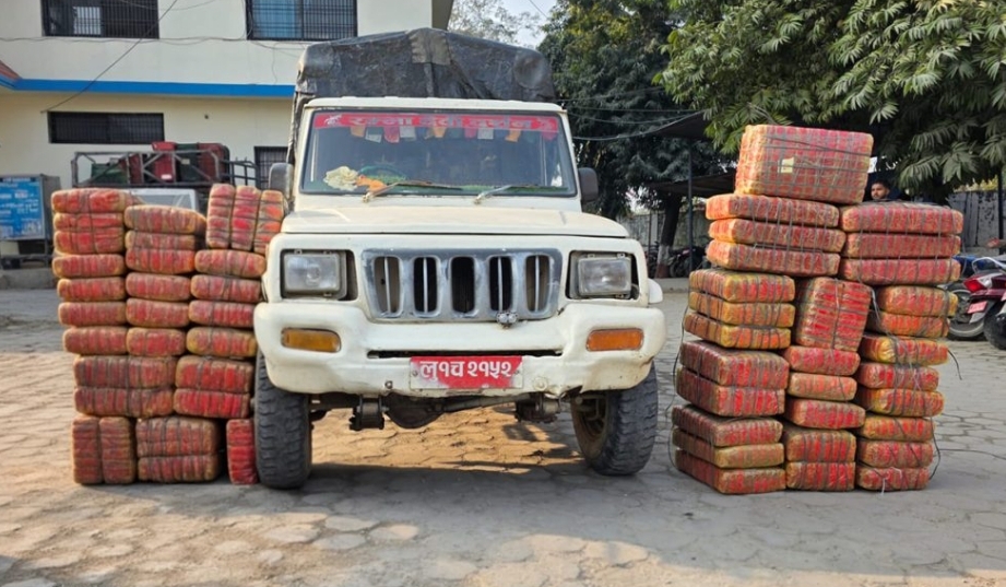 ठूलो परिमाणको गाँजासहित २ पक्राउ