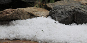 कहाँ पर्‍यो असिना?