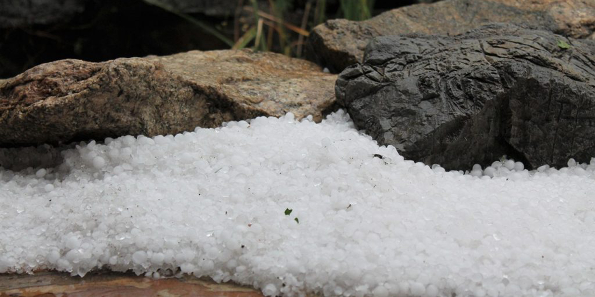 कहाँ पर्‍यो असिना?