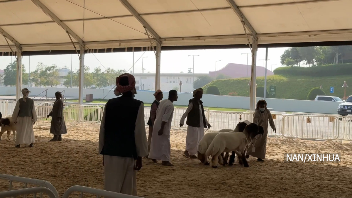 दोहामा १४ औँ ‘हलाल कतार महोत्सव’ आयोजना