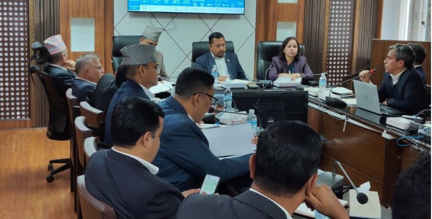 ऊर्जा क्षेत्रमा आत्मनिर्भरता र सेवा प्रवाहमा मन्त्री श्रेष्ठको जोड