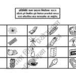निर्वाचनमा प्रयोग नभएका करिब ४० प्रतिशत मतपत्र धुल्याइने