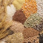 अब बिउको पनि ‘अडिट’