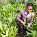 सफलताका कथा : जीवनको तस्बिर बदलेका उद्यमी भीमबहादुर