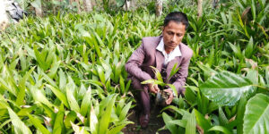 सफलताका कथा : जीवनको तस्बिर बदलेका उद्यमी भीमबहादुर